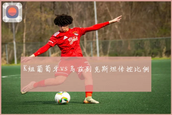 K组葡萄牙vs乌兹别克斯坦传控比例