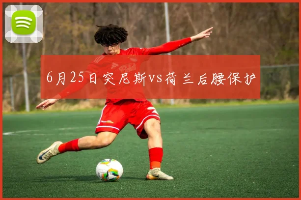 6月25日突尼斯vs荷兰后腰保护