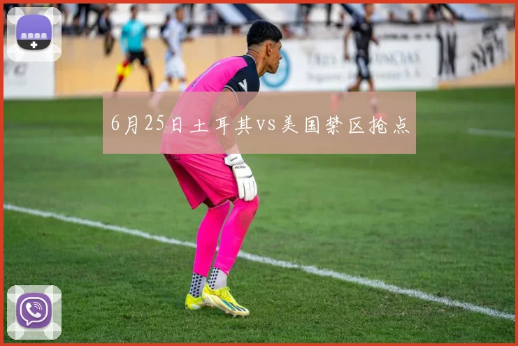 6月25日土耳其vs美国禁区抢点