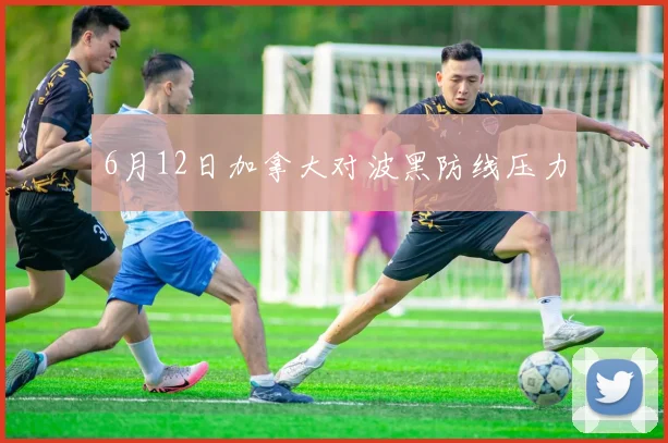 6月12日加拿大对波黑防线压力